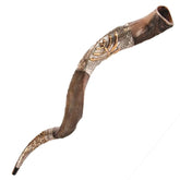 order large Yemenite silver plated kudu shofar online